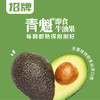 百果园PAGODA 招牌-青魁即食牛油果（中）8粒彩箱装 商品缩略图3
