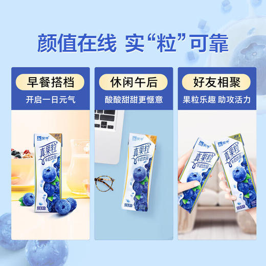【自营】蒙牛真果粒蓝莓果粒牛奶饮品250g *12瓶整箱发货 商品图4