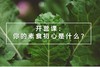 00 开放式思考——你的素食初心是什么？ 商品缩略图0