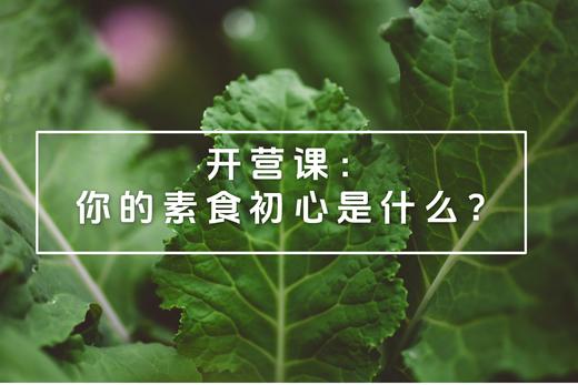 00 开放式思考——你的素食初心是什么？ 商品图0