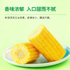 十月稻田 开袋即食 水果玉米/黑糯玉米 商品缩略图2