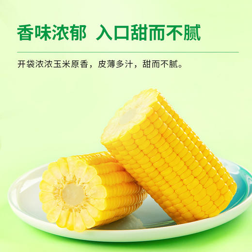 十月稻田 开袋即食 水果玉米/黑糯玉米 商品图2