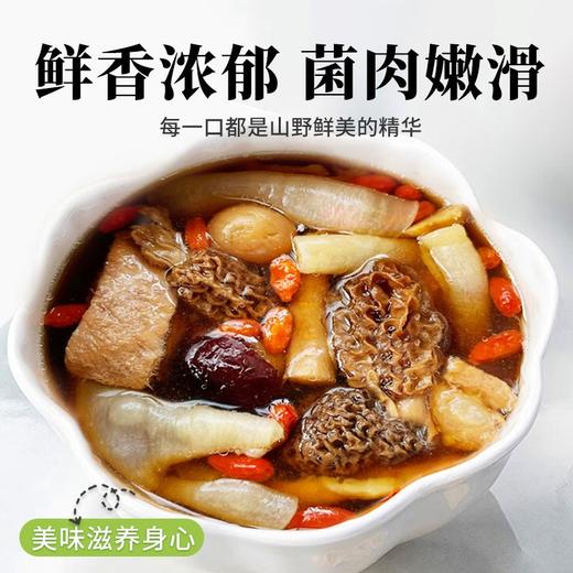 在菌屋 云南高原纯野生羊肚菌干货50g/罐 商品图2