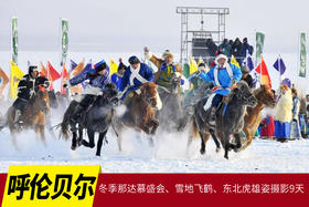 12月22日呼伦贝尔冬季那达慕盛会、雪地飞鹤、东北虎雄姿摄影9天