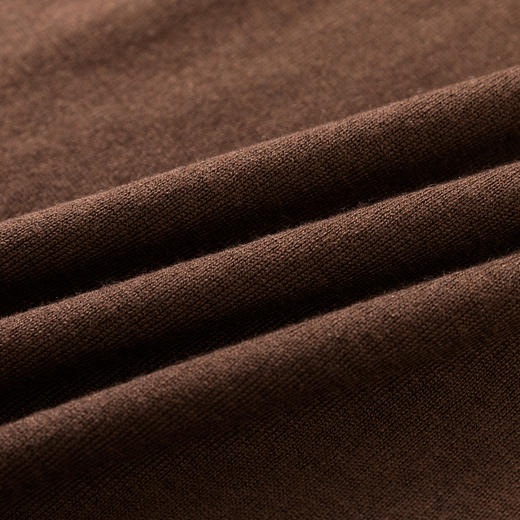 【含绵羊毛】圣得西男士羊毛混纺高密针织衫2025秋季保暖舒适新款毛衣 商品图11