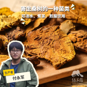 野生西藏桑黄 | 合作生产* Wild Sanghuang| Coproduction