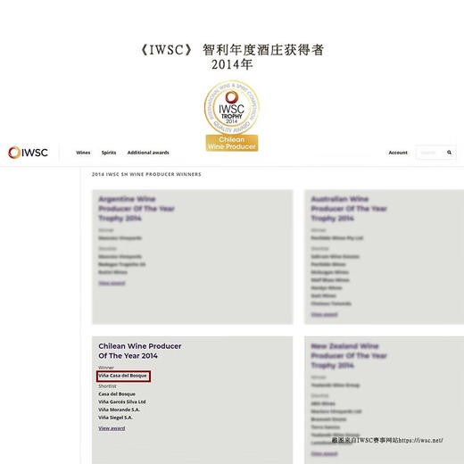 智利top8丨连续6年入选全球50大知名酒庄 智利原瓶进口 卡萨伯斯克酿酒师珍藏赤霞珠干红葡萄酒 14%vol 商品图2