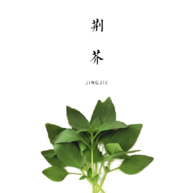 荆芥  100g