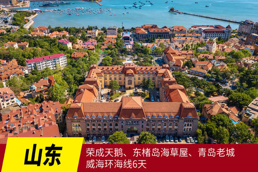 1月10日【山东】荣成烟墩角天鹅、东楮岛海草屋、青岛老城与威海环海线6天摄影 商品图0