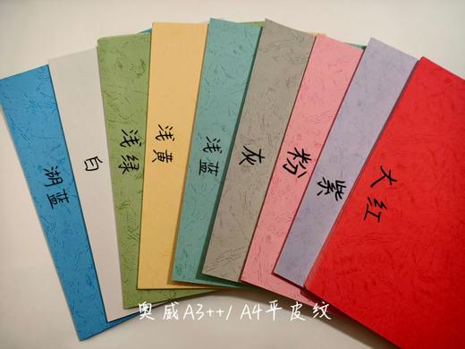 【TXD】奥威A3++平面皮纹纸180g 单色100张/包 商品图0