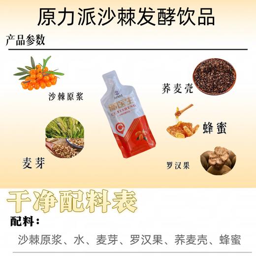 醋医生®️沙棘发酵饮品 商品图1