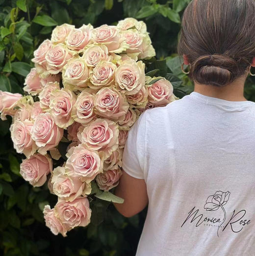 逸禾单头玫瑰 | 粉色蒙代尔【颜色有色差介意慎拍】 商品图0