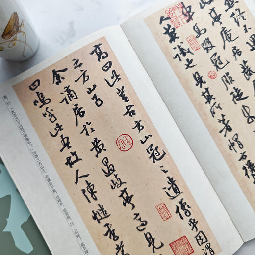 行书 苏轼七篇 田小华书法行书临摹鉴赏 苏轼*文章赤壁赋等 附赠书签对联和心法书札折页小帖 商品图4