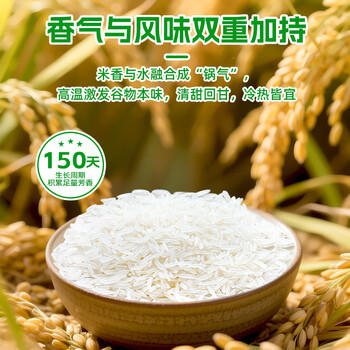 挂绿增城丝苗米10斤 国家地标认证（当季新米）增城特产南方籼米 /粮油调味 /米 /丝苗米 商品图5