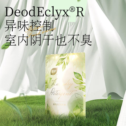 植护ZH8488 樱花树下 植萃香氛洗衣液500g/袋 商品图5