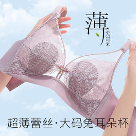 【轻薄兔耳杯】时尚蕾丝水晶杯内衣女大胸透气防凸点无钢圈文胸花瑶月影