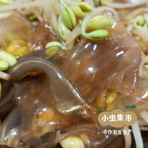 生态土豆粉皮 200g/袋 | 合作农友生产，产自内蒙乌兰察布，生产者：孔振华 ＆【公平贸易农人定价】 商品图10