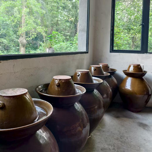 生态泡菜/泡豇豆/酸豇豆/酸豆角 | 生态种植，不用农药的豇豆，全有机标准配料，爽口酸脆 商品图7