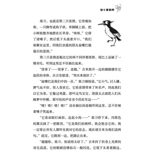 《神探虎斑猫》第一辑（全4册）：《智斗喜鹊帮》《王冠保卫战》《勇闯黄金城》《营救美人鱼》 商品图10