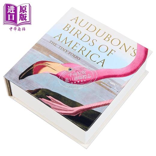 【中商原版】Audubons Birds of America: The Tiny Folio 进口艺术 奥杜邦的美洲鸟类 商品图2