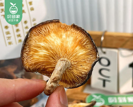 三明精选椴木香菇/1包（150g±5g）生产日期：25年7月补单专用 商品图2
