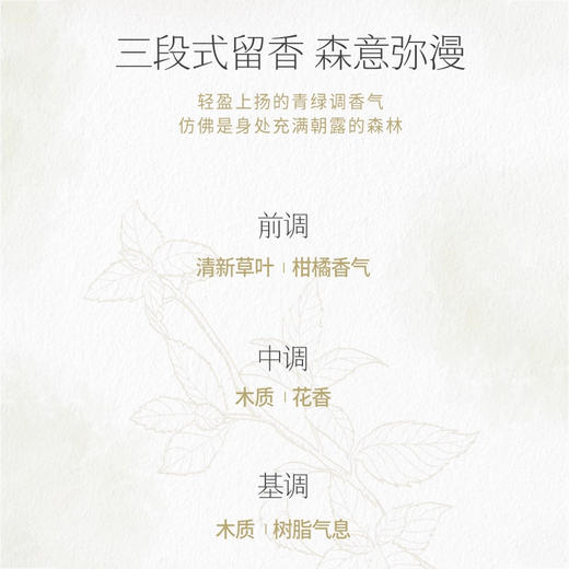 艾薇丹净呼吸滚珠精油 商品图2