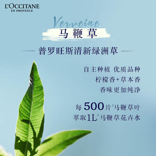 欧舒丹护手霜清新马鞭草30ml保湿滋润留香嫩肤防干燥 商品图3