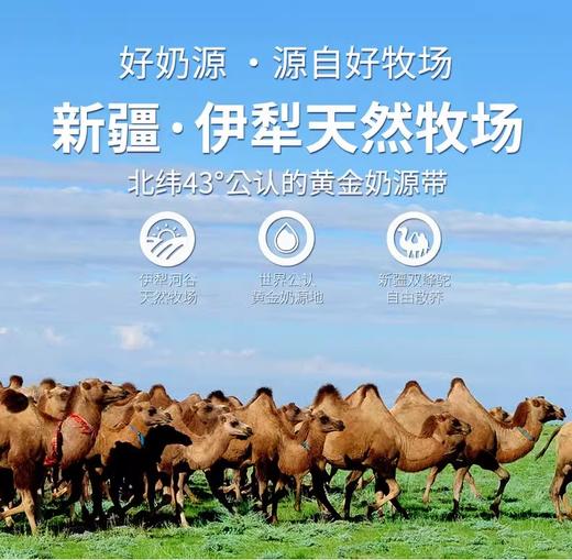 驼牧尔骆驼奶粉240g罐装新疆正宗成人中老年高钙益生菌配方驼乳粉 商品图1