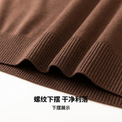 【含绵羊毛】圣得西男士羊毛混纺高密针织衫2025秋季保暖舒适新款毛衣 商品图10