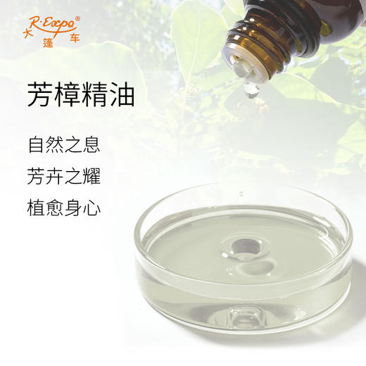 芳樟精油 单方精油原料批发芳疗护理香氛调香香薰 大篷车精油 商品图1