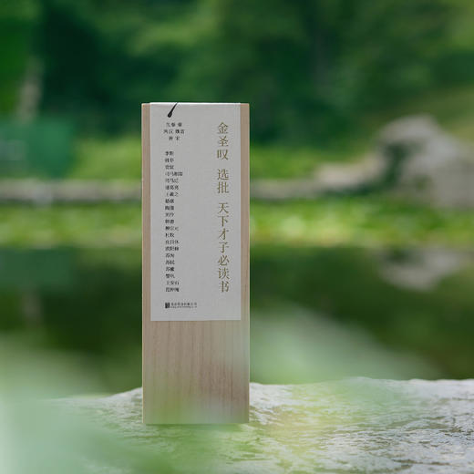 《金圣叹选批天下才子必读书》 商品图8
