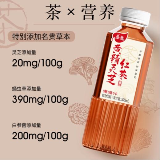 蕈龙 黄精灵芝 红茶500ml 商品图2