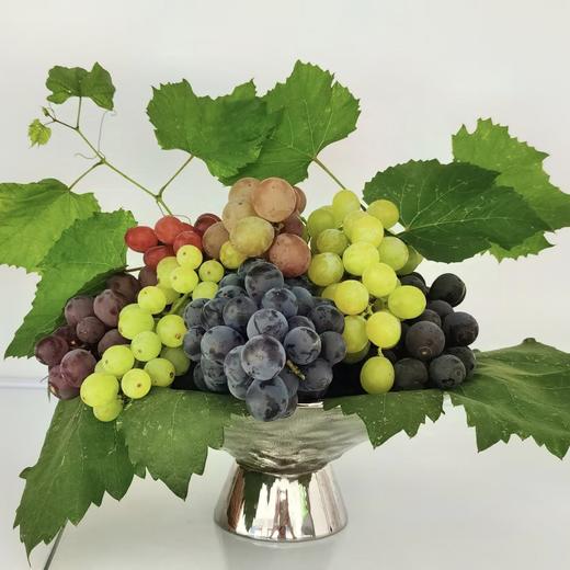 金粟葡萄（有机认证） 商品图0