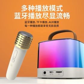康佳K歌小音响带麦克风话筒蓝牙无线连接家用户外影院级音响