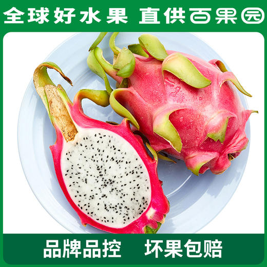 百果园PAGODA A级-进口银火龙果（大）5斤彩箱装 商品图0