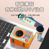 【轻奢小巧，透明K歌音箱！】朋克琉璃K歌蓝牙音箱 家用户外带话筒一体式 唱歌机迷你音响低音炮-QA 商品缩略图1
