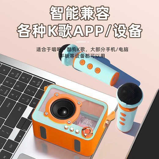 【轻奢小巧，透明K歌音箱！】朋克琉璃K歌蓝牙音箱 家用户外带话筒一体式 唱歌机迷你音响低音炮-QA 商品图1