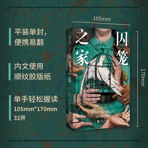 【热卖】囚笼之家（平装），爱尔兰悬疑犯罪小说女王全新力作，Goodreads超15万读者评分4.2，上市后全球销量突破50万册！荣获爱尔兰图书奖年度犯罪小说。（预售计划8月下旬发货） 商品图1