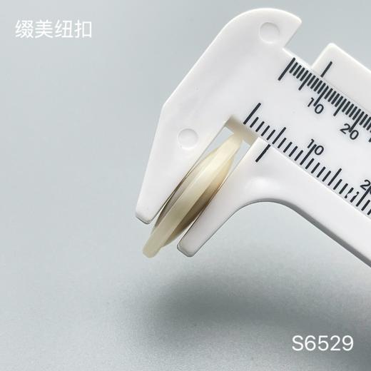 S6529(整包购买) 商品图4