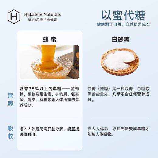 荷塔威麦卢卡儿童蜂蜜 * 485g/瓶 MGO50+ 新西兰进口 锁口自吸 不滴漏蜜 商品图4