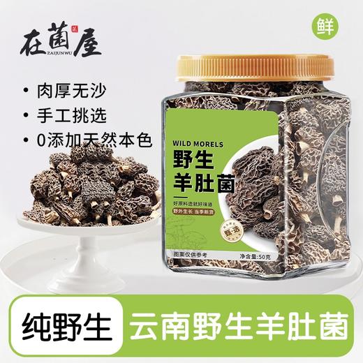 在菌屋 云南高原纯野生羊肚菌干货50g/罐 商品图0