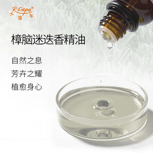 樟脑迷迭香精油  希腊进口单方精油原料批发芳疗护理调香 商品图1