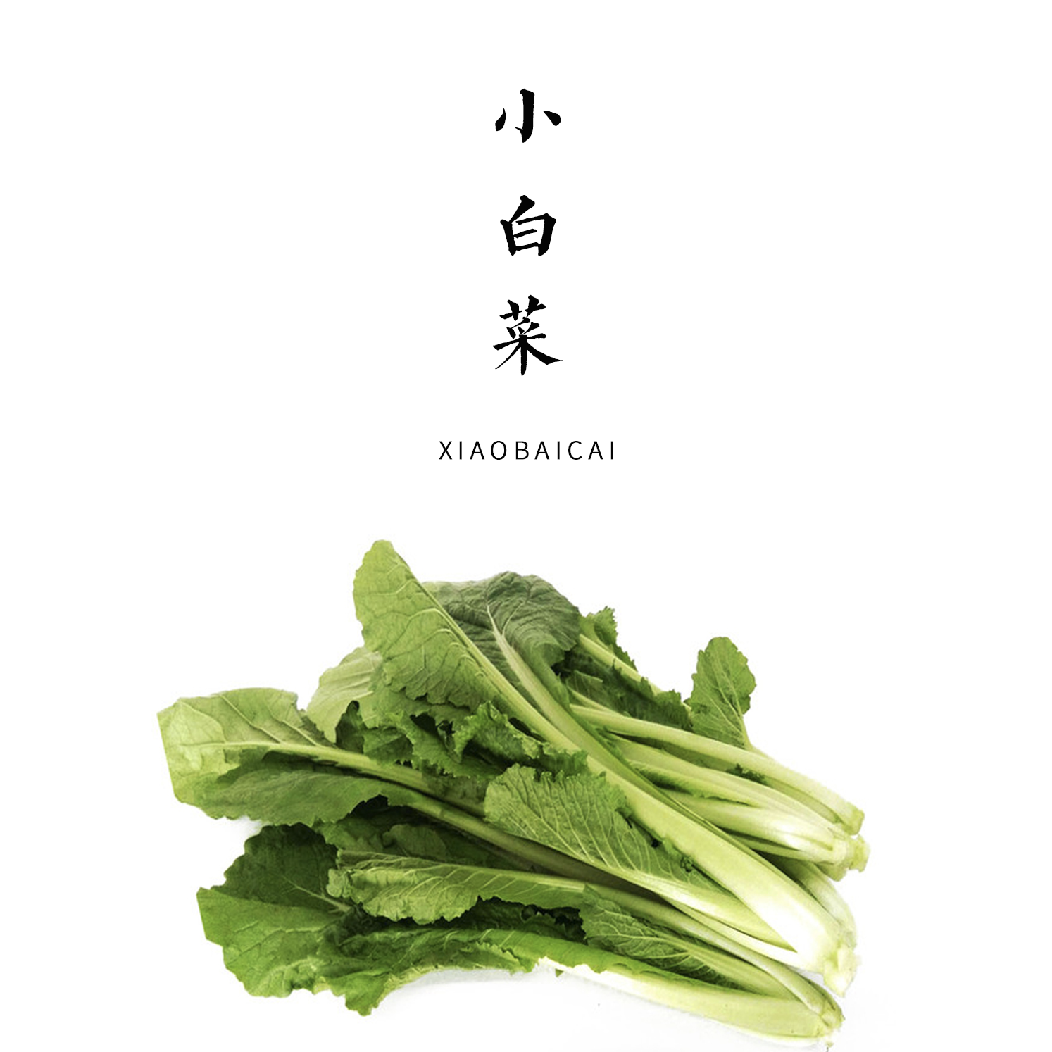 小白菜 300g