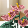 苏苏姐家鸿运当头红掌摆件手工钩针编织材料包毛线diy礼物 商品缩略图3