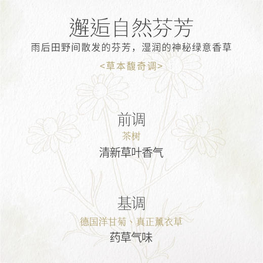 艾薇丹守护天使滚珠精油 商品图1