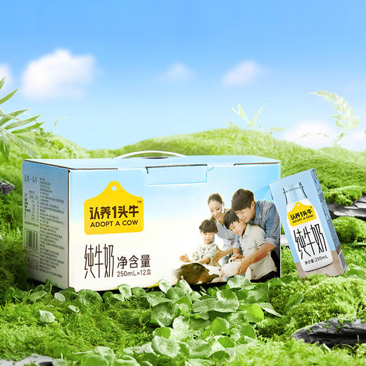 【自营】认养一头牛纯牛奶利乐砖250ml*12瓶整箱装两提装发货 商品图2