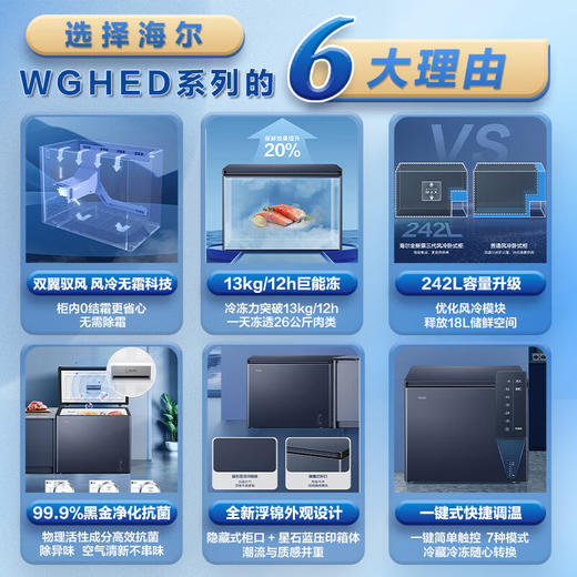 海尔（Haier）冰柜家用京东自营200升以上风冷无霜小冰箱小型冷柜-38度超低温BC/BD-242WGHED家电国家补贴20% 商品图3