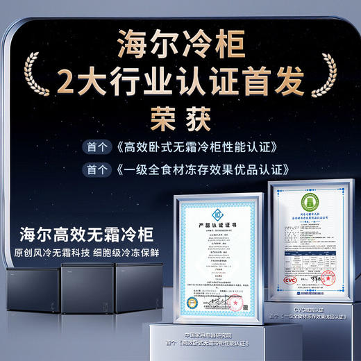 海尔（Haier）冰柜家用京东自营200升以上风冷无霜小冰箱小型冷柜-38度超低温BC/BD-242WGHED家电国家补贴20% 商品图1