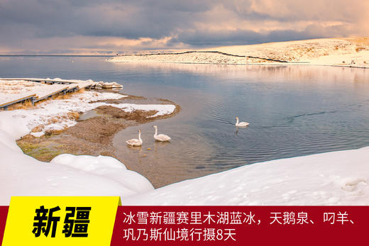 1.12确定出发【颂•雪 新疆】冰雪新疆赛里木湖蓝冰•天鹅泉•叼羊•巩乃斯仙境行摄8天 商品图0