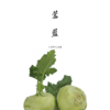 绿苤蓝  750g 商品缩略图0